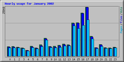 Hourly usage for January 2002