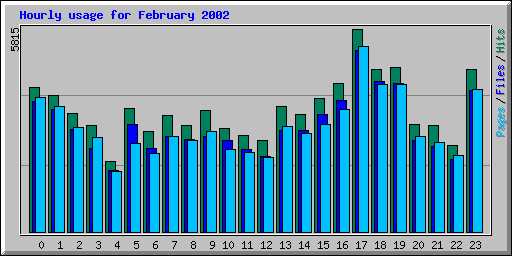 Hourly usage for February 2002
